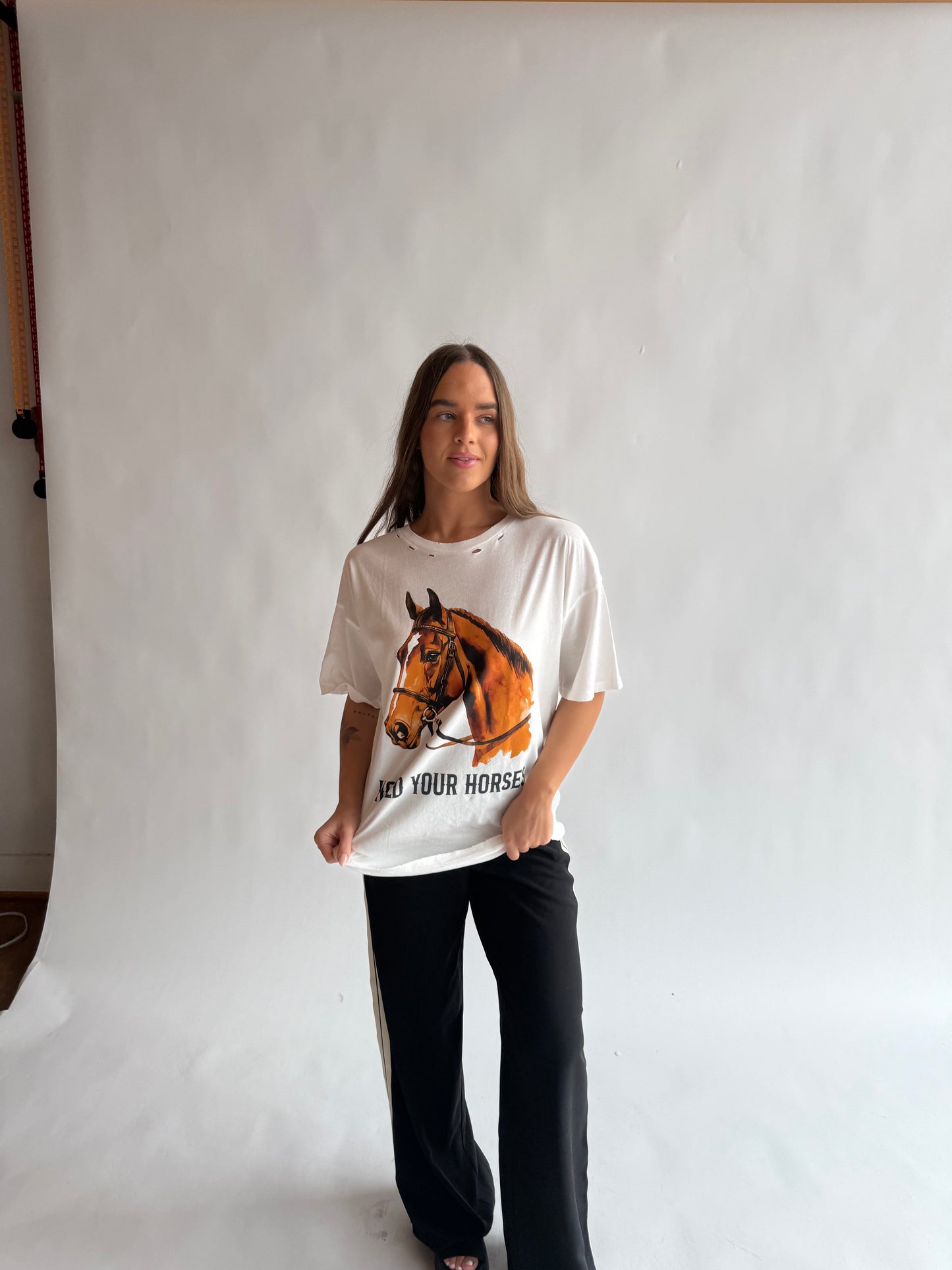 Hold your horses graphic tee
