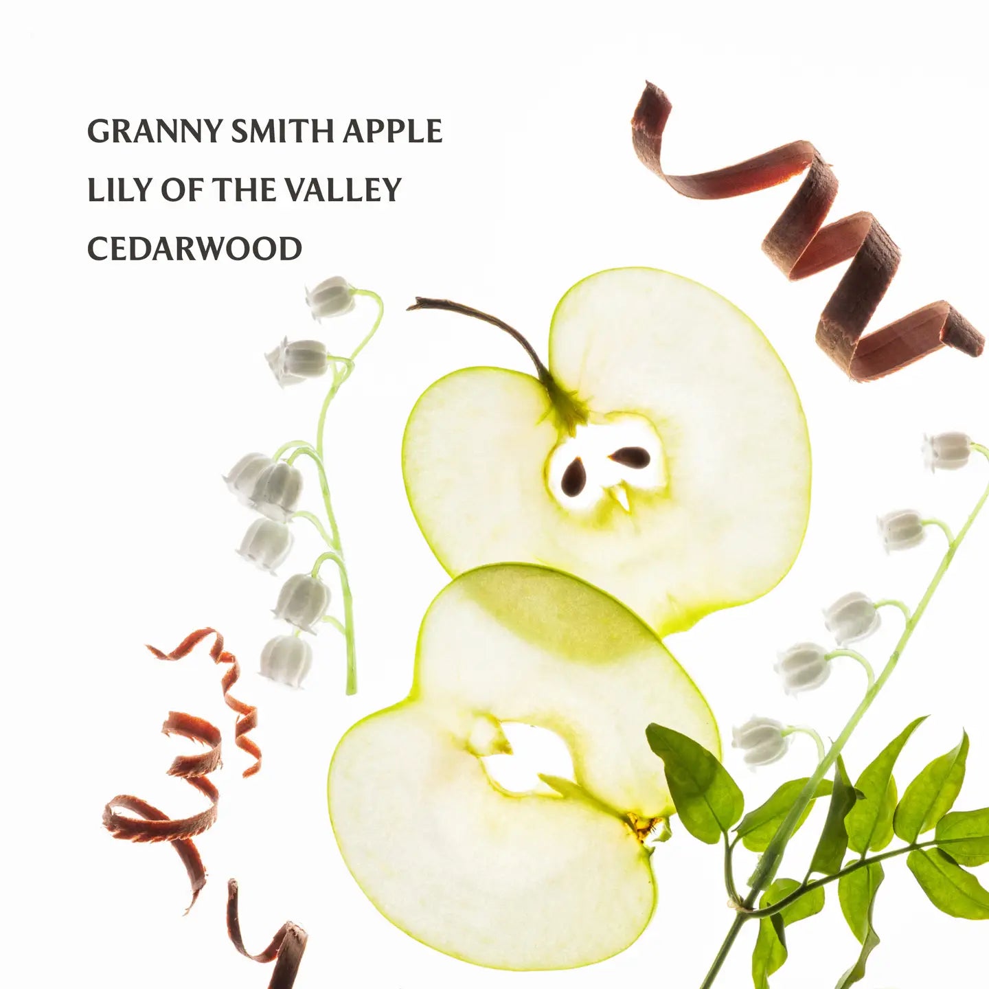 Touch Land Hand Sanitizers